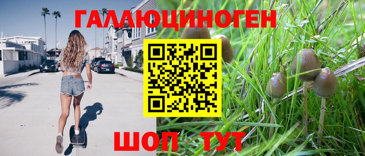 Галлюциногенные грибы Magic Shrooms Раменское