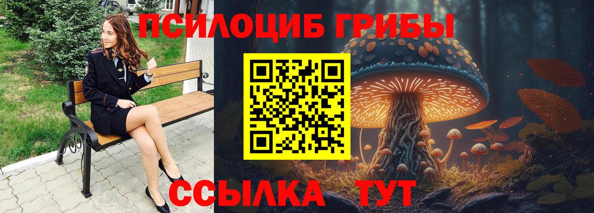 Галлюциногенные грибы Psilocybe  Галлюциногенные грибы мухоморы  Вход с VPN  Раменское 