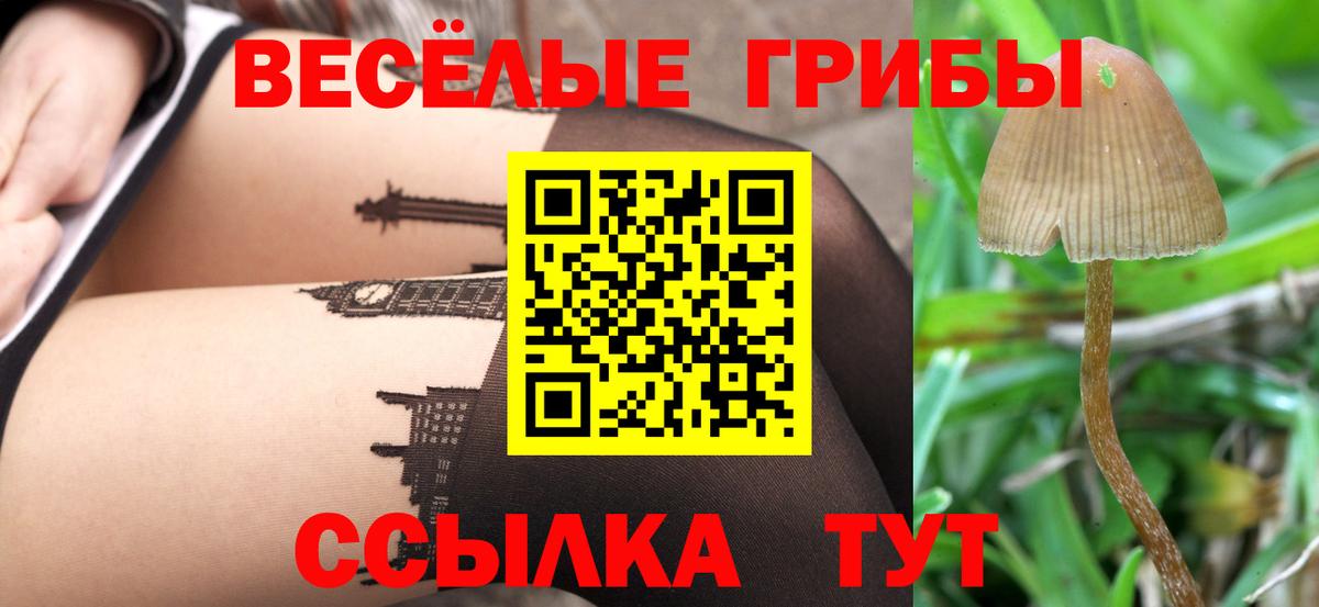 где продают наркотики  Раменское  Галлюциногенные грибы ЛСД 